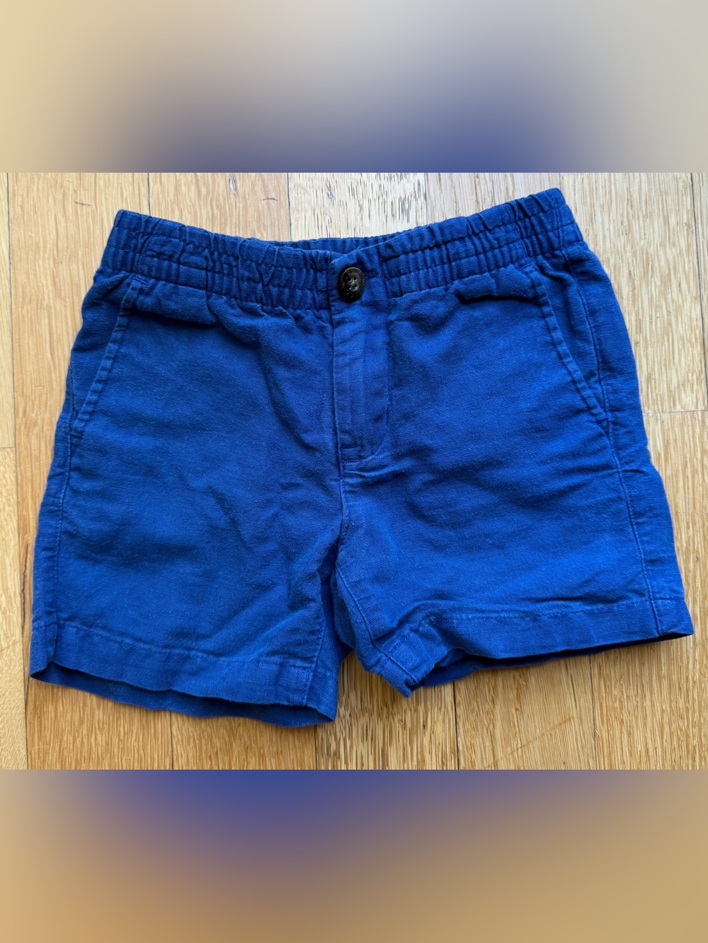 Janie and Jack Boys Royal Blue Cotton Shorts 2T